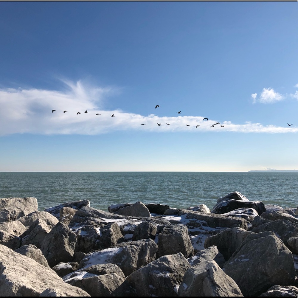 Meet your Posher, Maya